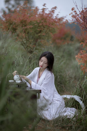 林智妍上流社会